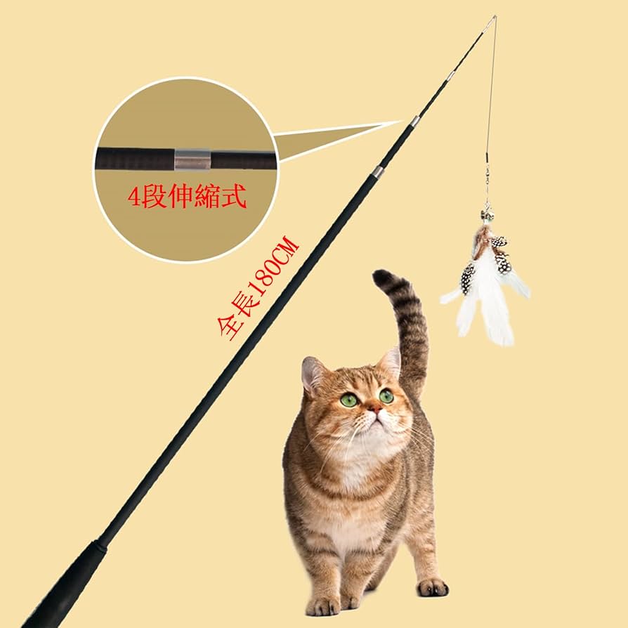 一寸先は猫 ENG) Question section!! Subscriber 30,000 anniversary? No